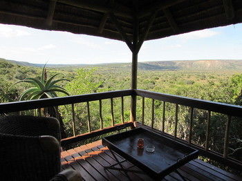 Woodbury Lodge Amakhala Game Reserve Bagian luar foto