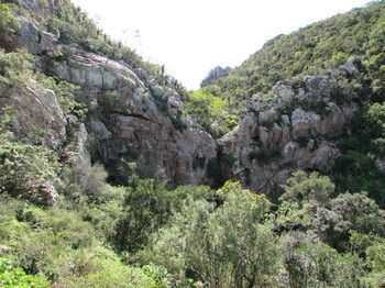 Woodbury Lodge Amakhala Game Reserve Bagian luar foto